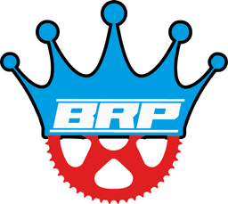 Logo Bmx race possession